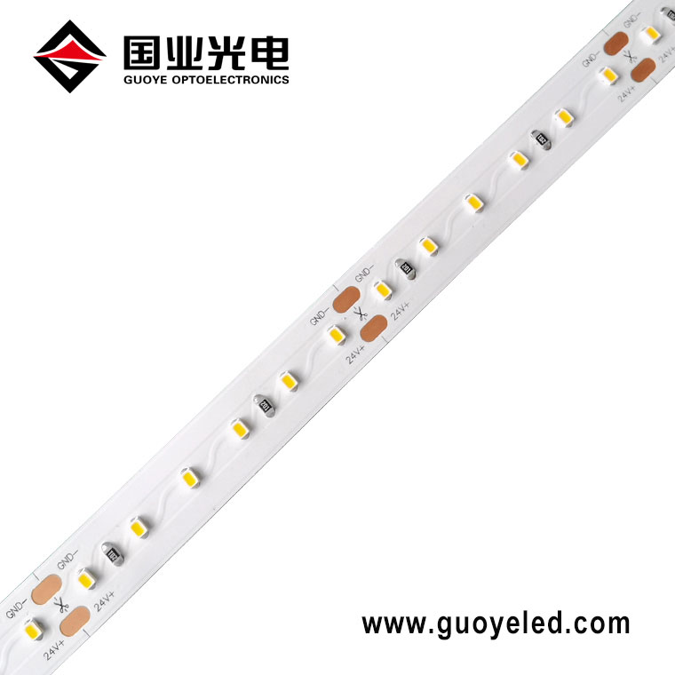 Striscia LED SMD 2216